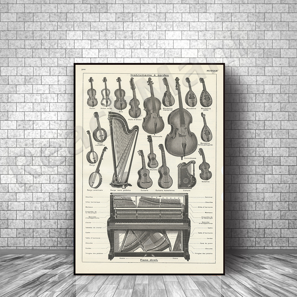 Musical Instrument Viola - Antique musical instrument printed in 1938.