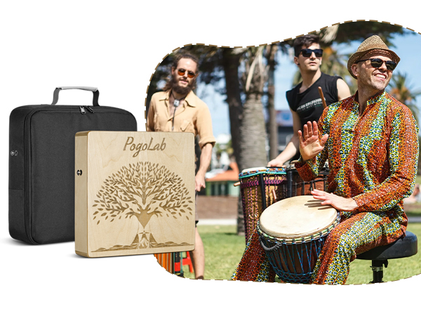 Pogolab Portable Cajon with Sn - đánh giá và giá Musical Instrument Cajon