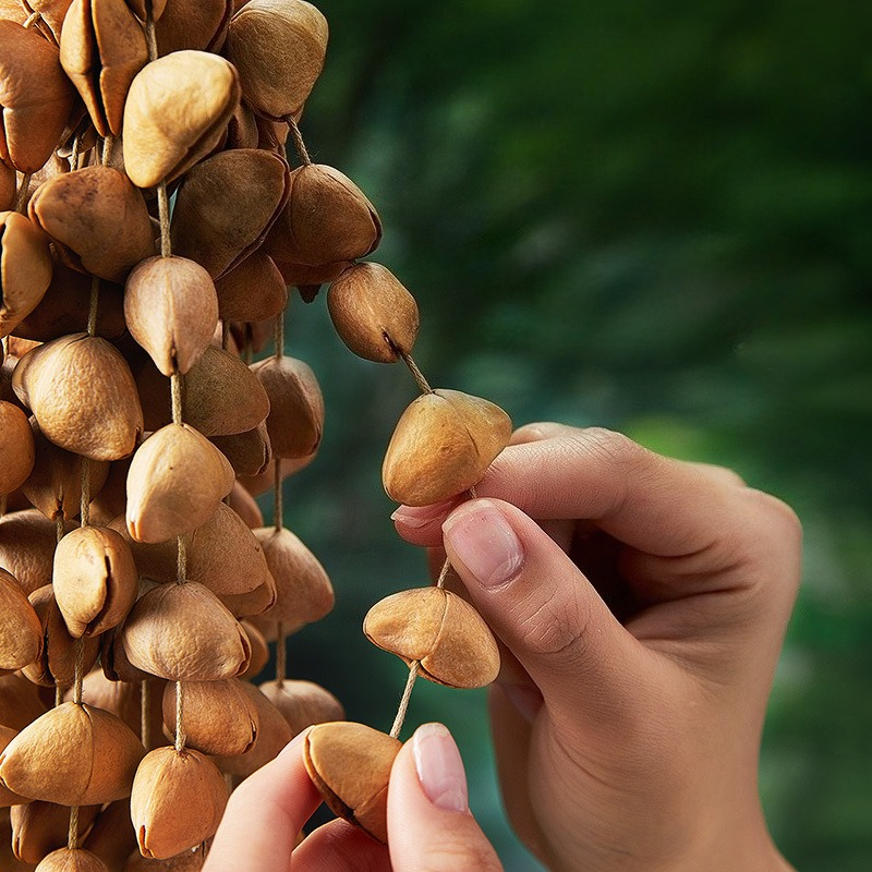 Nutshell Hand Bell Sound Heali - đánh giá và giá Celesta Musical Instrument