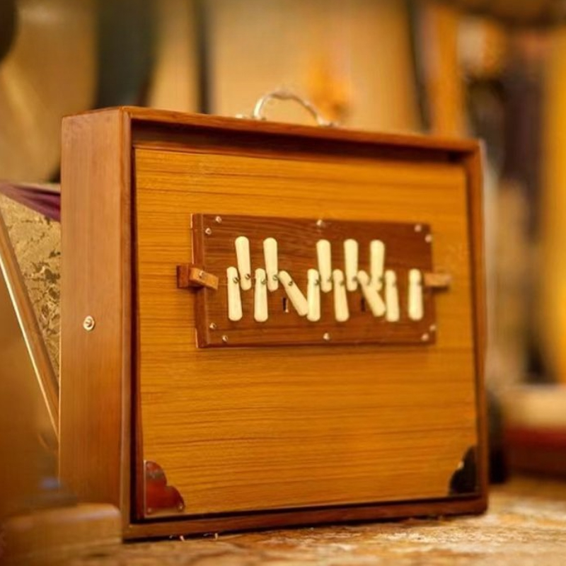 India Singing Box Wooden Medit - đánh giá và giá Musical Instrument Of India