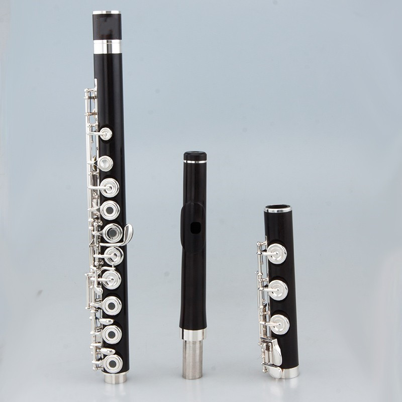 Professional Top Japan C Key 1 - đánh giá và giá Musical Instrument Japan