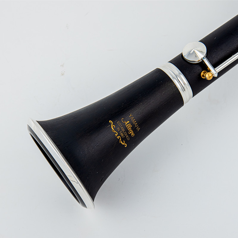 Japan Brand New Professional W - đánh giá và giá Musical Instrument Japan
