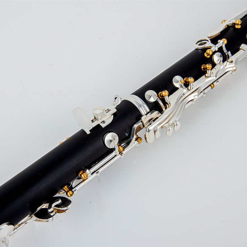 Japan Brand New Professional W - đánh giá và giá Musical Instrument Japan
