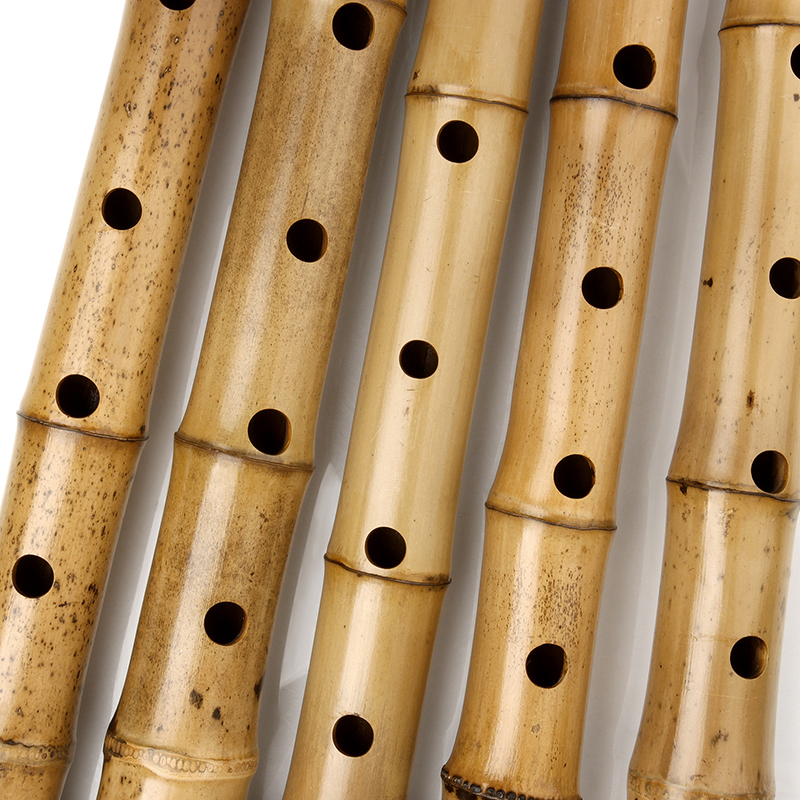 Vertical Bamboo Flute with Sha - đánh giá và giá Musical Instrument Lute