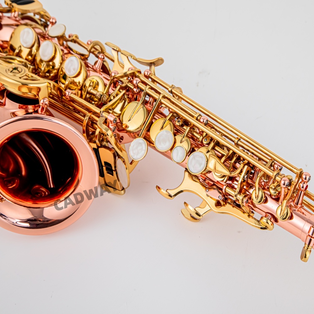 Japan Saxophone Soprano  B fla - đánh giá và giá Musical Instrument Japan