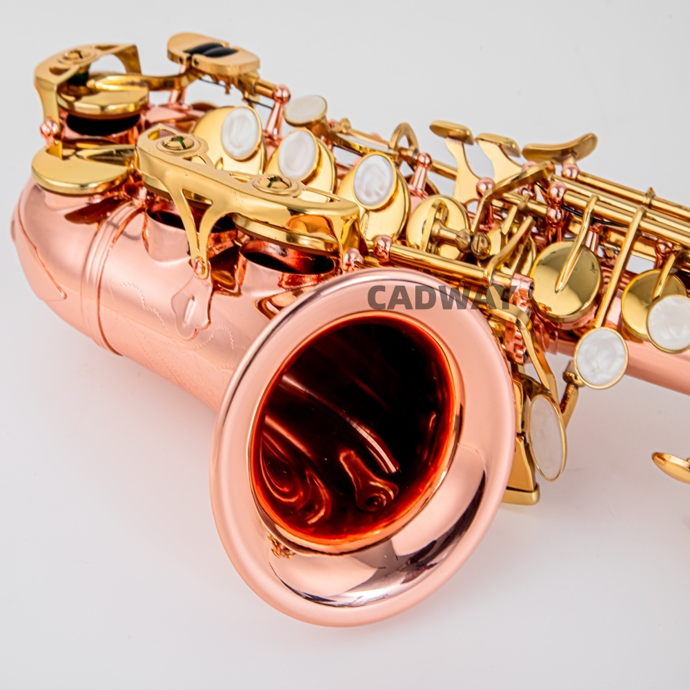 Japan Saxophone Soprano  B fla - đánh giá và giá Musical Instrument Japan
